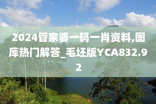 2024管家婆一碼一肖資料,圖庫熱門解答_毛坯版YCA832.92