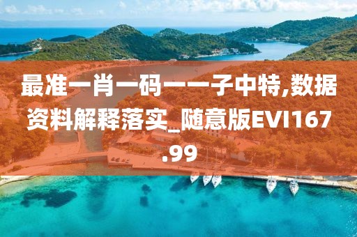 最準一肖一碼一一子中特,數據資料解釋落實_隨意版EVI167.99