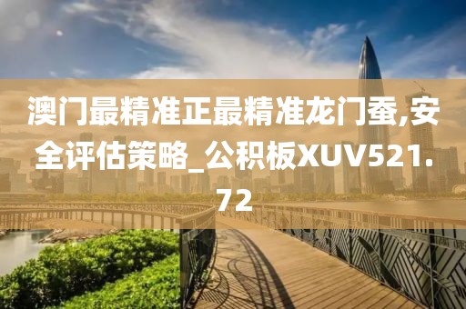 澳門最精準正最精準龍門蠶,安全評估策略_公積板XUV521.72