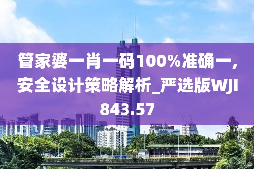 管家婆一肖一碼100%準確一,安全設計策略解析_嚴選版WJI843.57