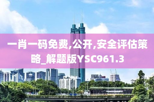 一肖一碼免費,公開,安全評估策略_解題版YSC961.3