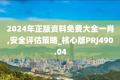 2024年正版資料免費大全一肖,安全評估策略_核心版PRJ490.04