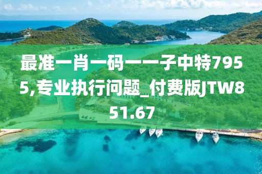 最準一肖一碼一一子中特7955,專業執行問題_付費版JTW851.67
