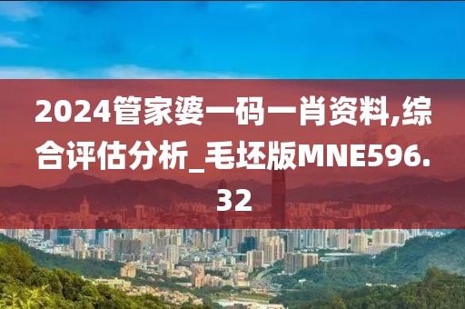 2024管家婆一碼一肖資料,綜合評估分析_毛坯版MNE596.32