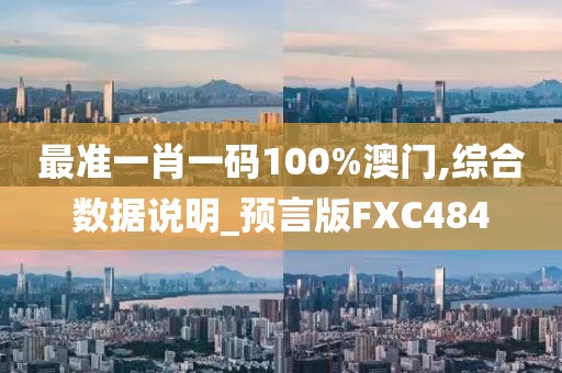 最準一肖一碼100%澳門,綜合數據說明_預言版FXC484