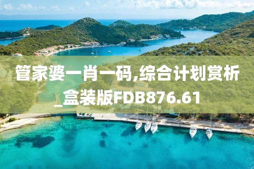 管家婆一肖一碼,綜合計劃賞析_盒裝版FDB876.61
