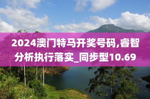 2024澳門特馬開獎號碼,睿智分析執行落實_同步型10.69