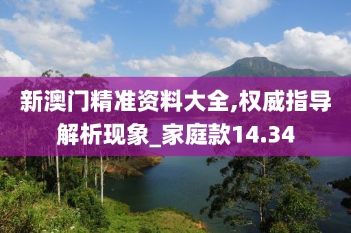 新澳門精準資料大全,權威指導解析現象_家庭款14.34