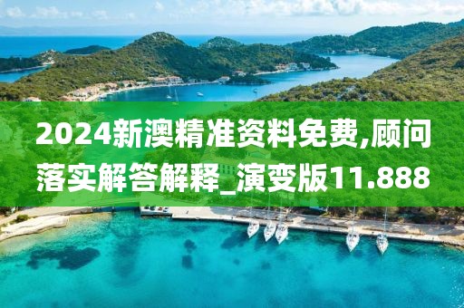 2024新澳精準資料免費,顧問落實解答解釋_演變版11.888