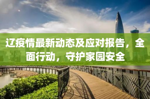 遼疫情最新動態及應對報告，全面行動，守護家園安全