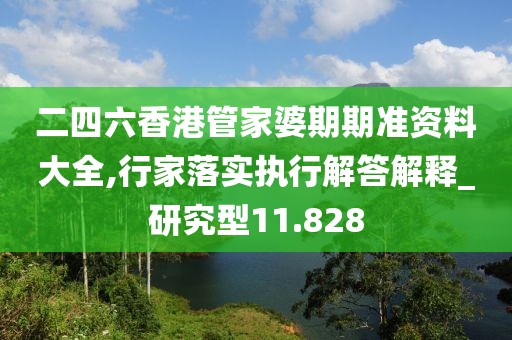 二四六香港管家婆期期準資料大全,行家落實執行解答解釋_研究型11.828