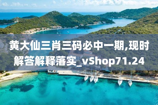 黃大仙三肖三碼必中一期,現時解答解釋落實_vShop71.24