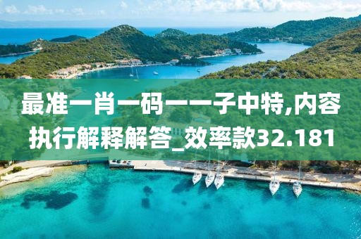 最準一肖一碼一一子中特,內容執行解釋解答_效率款32.181