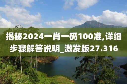揭秘2024一肖一碼100準,詳細步驟解答說明_激發版27.316