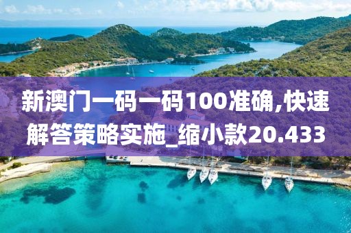 新澳門一碼一碼100準確,快速解答策略實施_縮小款20.433