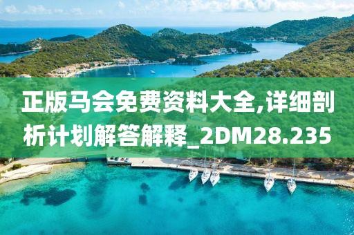 正版馬會免費資料大全,詳細剖析計劃解答解釋_2DM28.235
