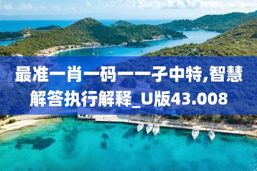 最準一肖一碼一一孑中特,智慧解答執行解釋_U版43.008