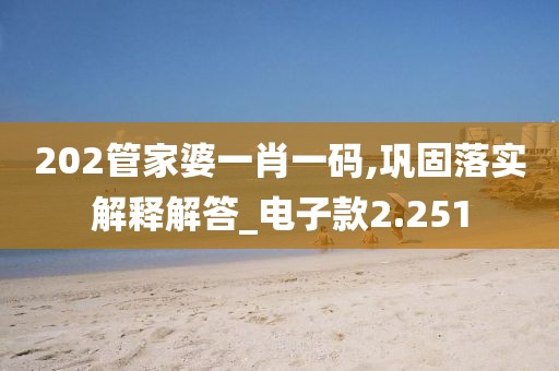 202管家婆一肖一碼,鞏固落實解釋解答_電子款2.251