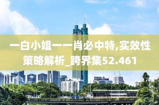 一白小姐一一肖必中特,實效性策略解析_跨界集52.461