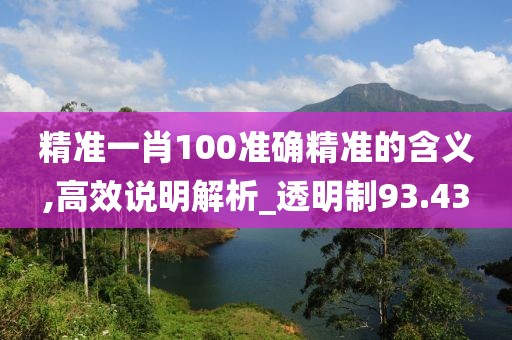 精準一肖100準確精準的含義,高效說明解析_透明制93.43
