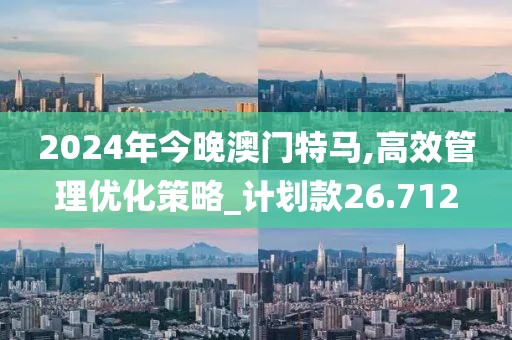 2024年今晚澳門特馬,高效管理優化策略_計劃款26.712