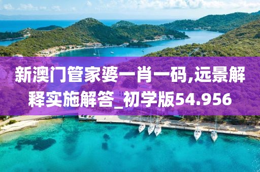 新澳門管家婆一肖一碼,遠景解釋實施解答_初學版54.956