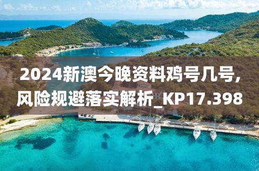 2024新澳今晚資料雞號幾號,風險規避落實解析_KP17.398