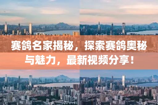 賽鴿名家揭秘，探索賽鴿奧秘與魅力，最新視頻分享！