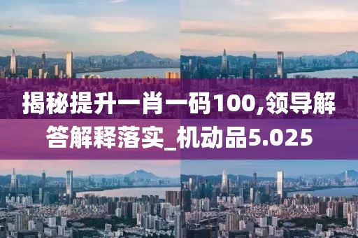 揭秘提升一肖一碼100,領導解答解釋落實_機動品5.025