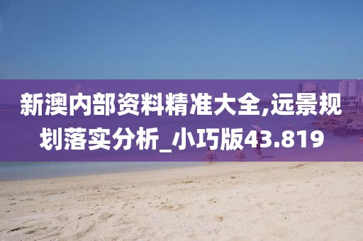 新澳內部資料精準大全,遠景規劃落實分析_小巧版43.819