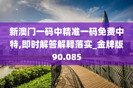 新澳門一碼中精準一碼免費中特,即時解答解釋落實_金牌版90.085