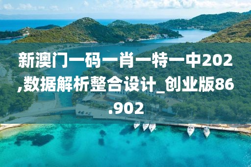 新澳門一碼一肖一特一中202,數據解析整合設計_創業版86.902