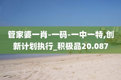 管家婆一肖-一碼-一中一特,創新計劃執行_積極品20.087