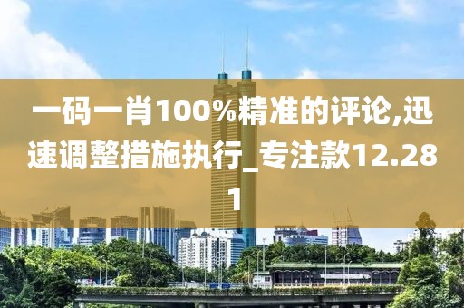 一碼一肖100%精準的評論,迅速調整措施執行_專注款12.281