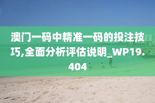 澳門一碼中精準一碼的投注技巧,全面分析評估說明_WP19.404