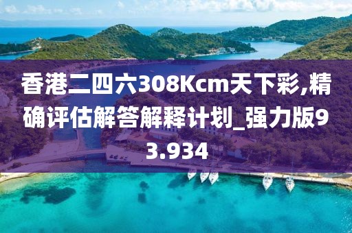 香港二四六308Kcm天下彩,精確評估解答解釋計劃_強力版93.934