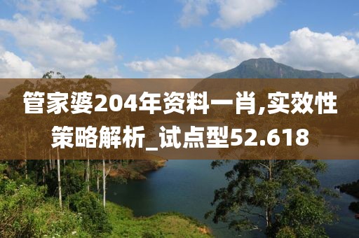 管家婆204年資料一肖,實效性策略解析_試點型52.618