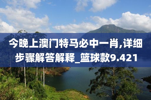 今晚上澳門特馬必中一肖,詳細步驟解答解釋_籃球款9.421