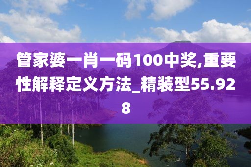管家婆一肖一碼100中獎,重要性解釋定義方法_精裝型55.928