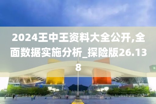 2024王中王資料大全公開,全面數據實施分析_探險版26.138