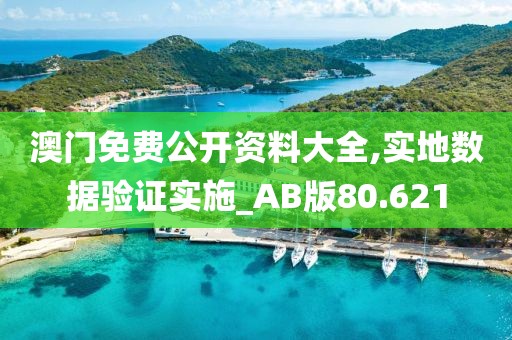 澳門免費公開資料大全,實地數據驗證實施_AB版80.621