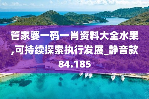 管家婆一碼一肖資料大全水果,可持續探索執行發展_靜音款84.185
