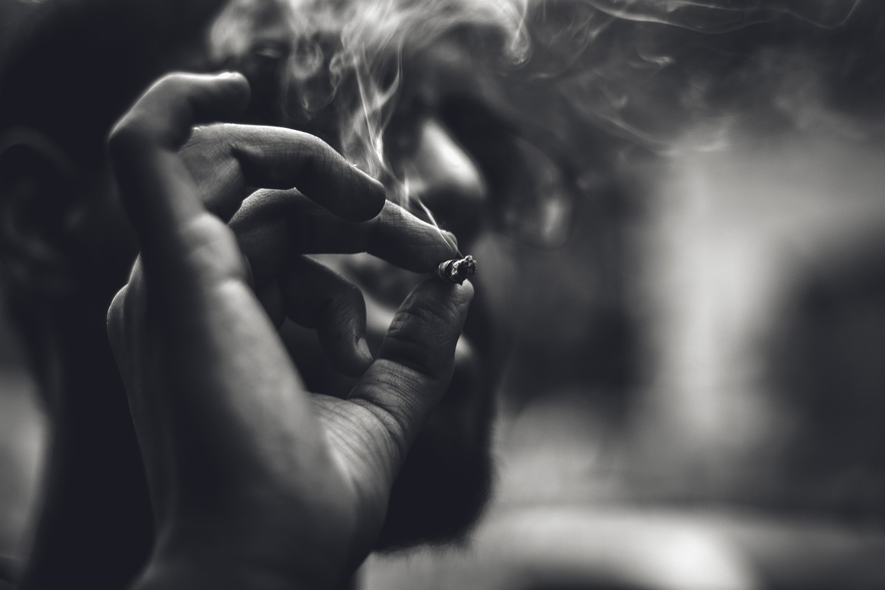 最新低燒病毒，全球健康威脅與應對策略