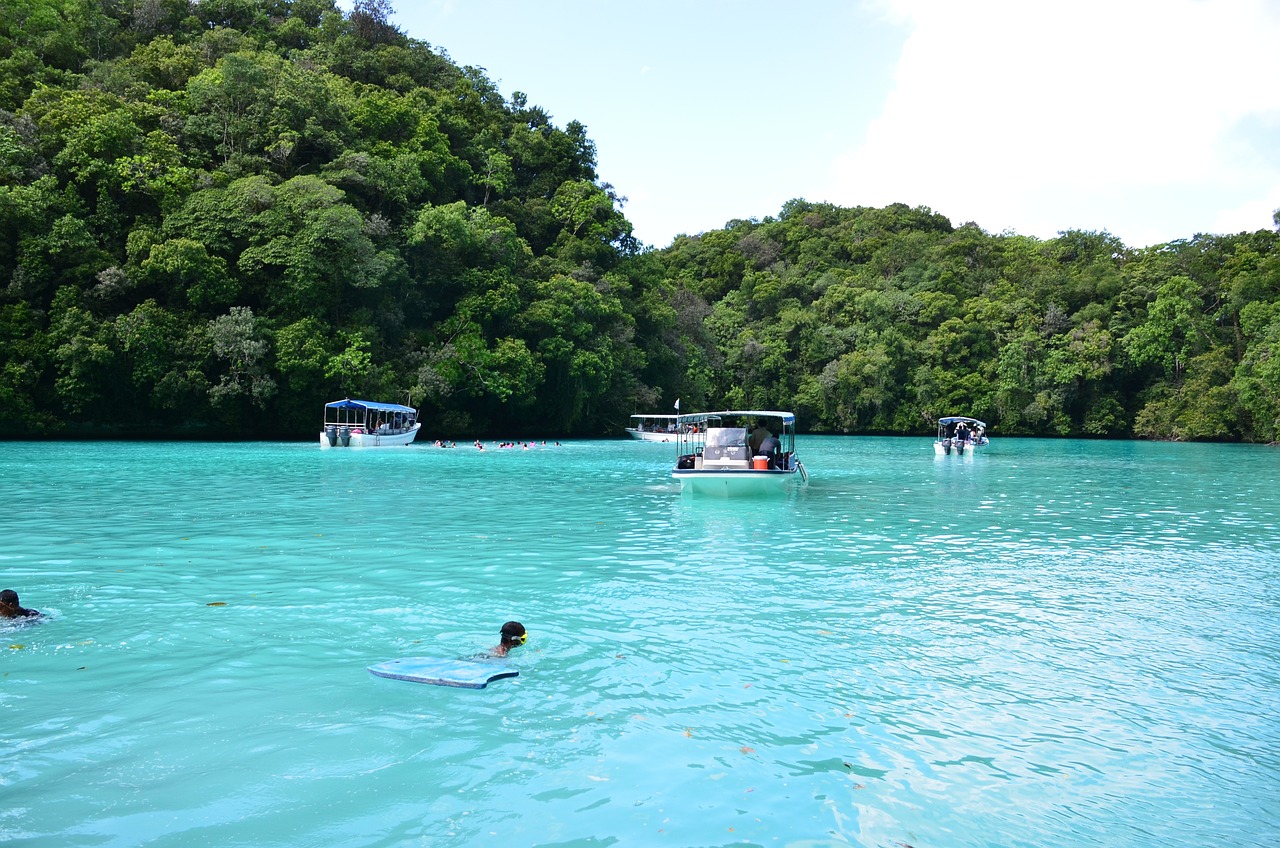 海豚最新款引領海洋智能科技先鋒，成為新潮流之選