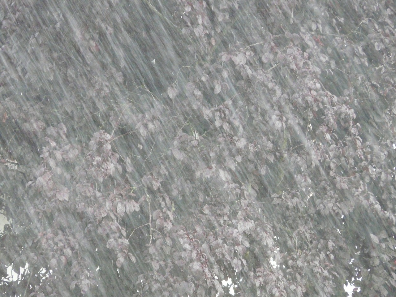 常德暴雨最新信息及應對防范措施