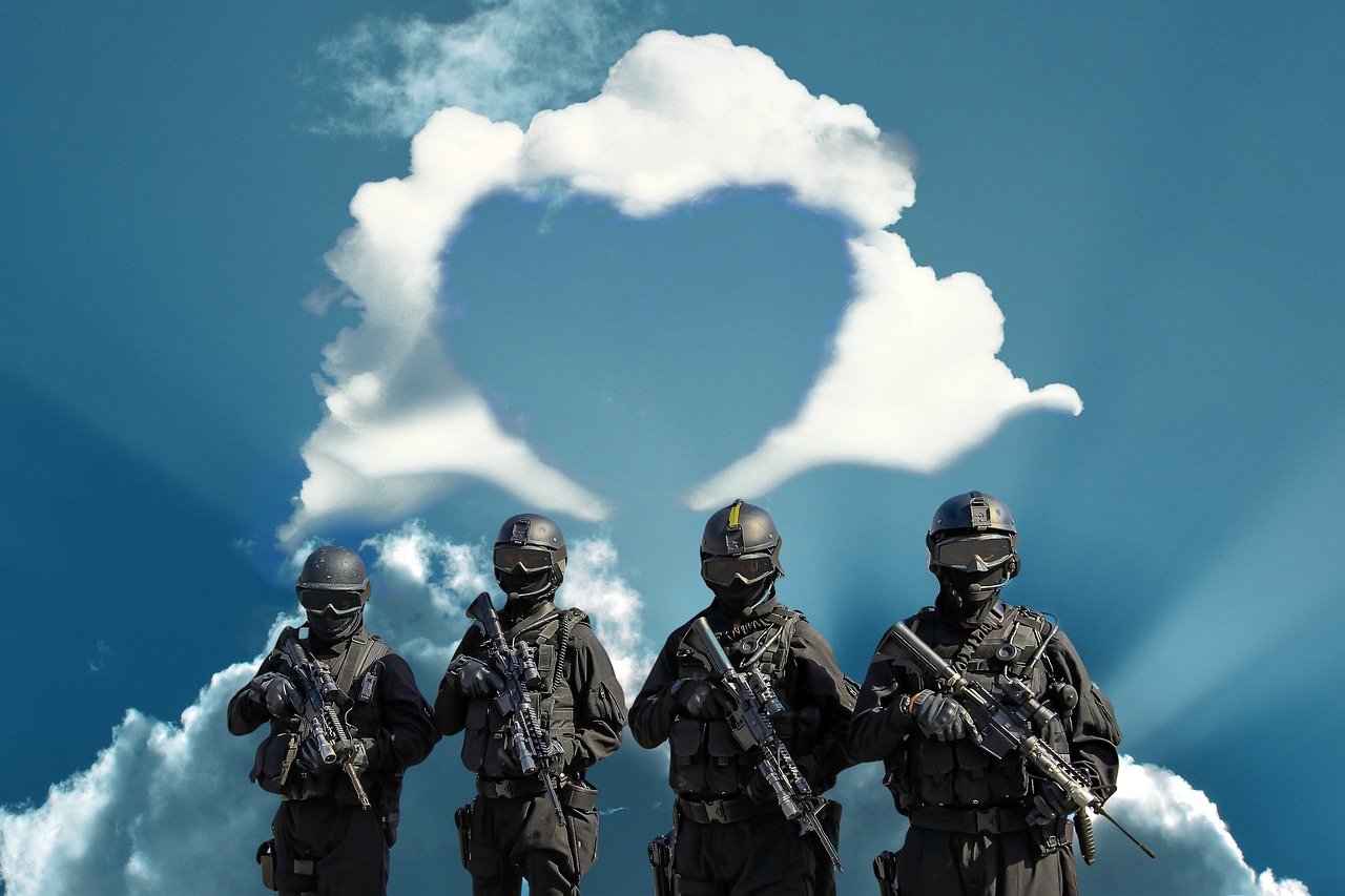 軍武速遞最新動態揭秘，力量與技術的完美融合之美
