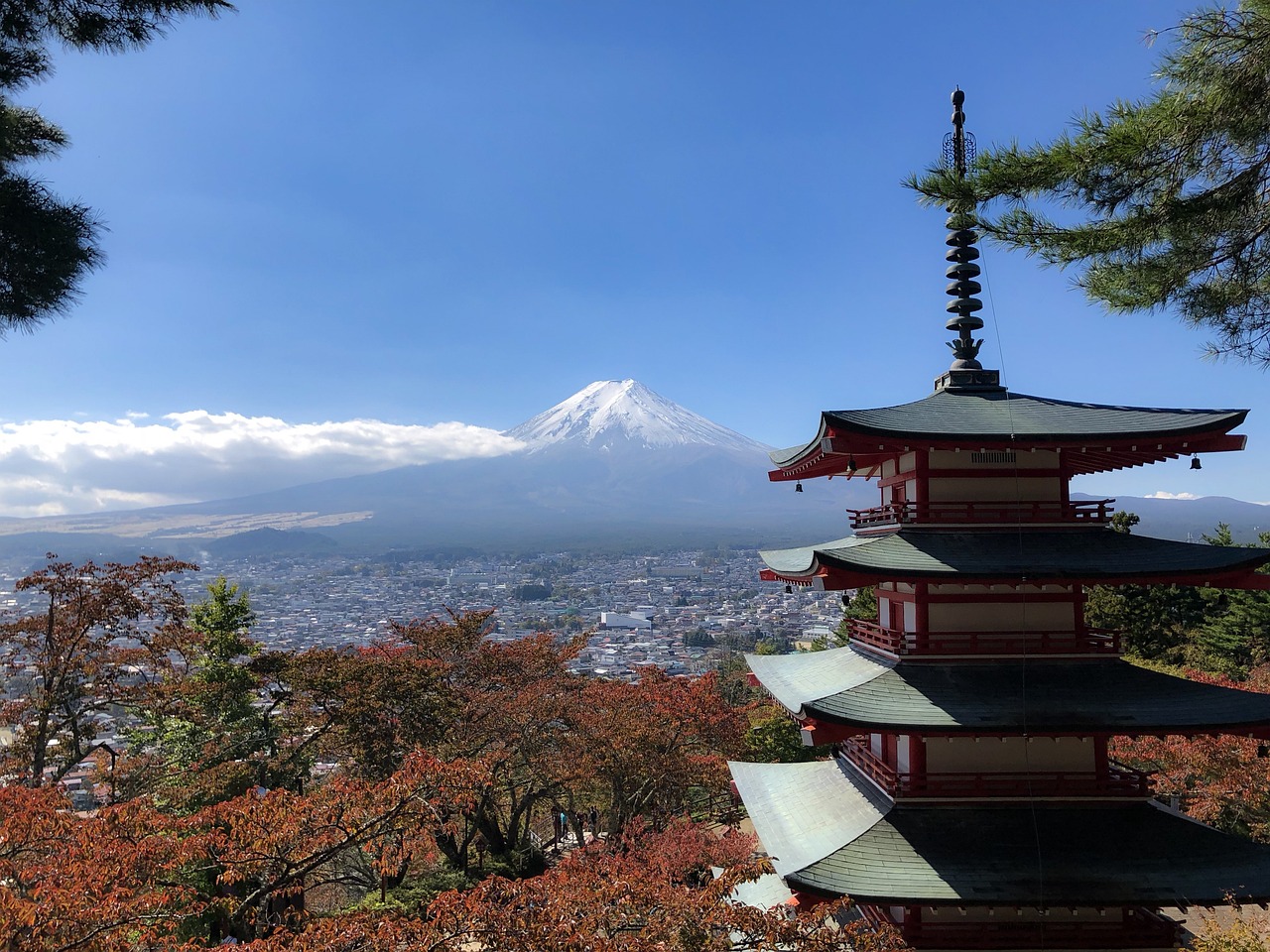 揚州一日游攻略最新,揚州一日游攻略最新