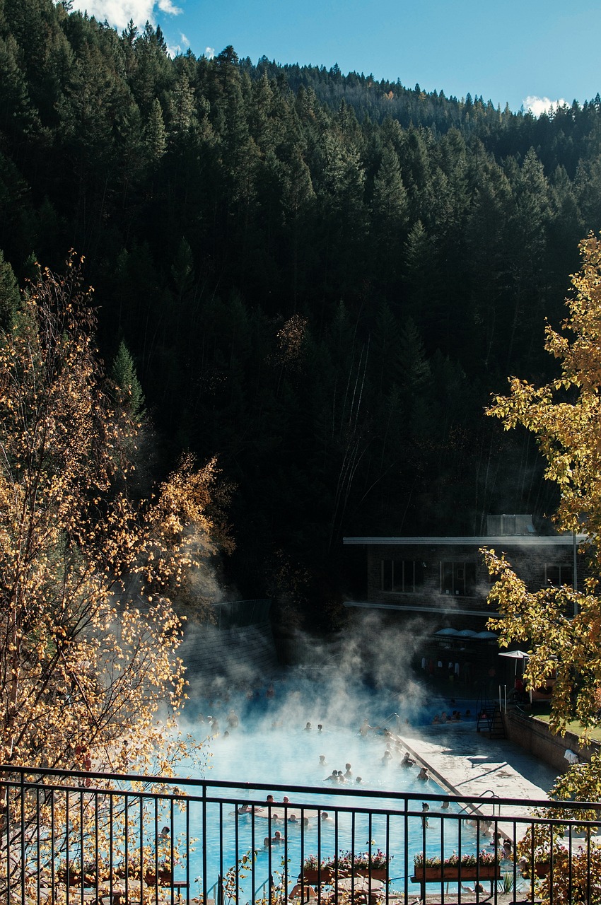 最新錦鯉池，美景、文化與生態的和諧融合