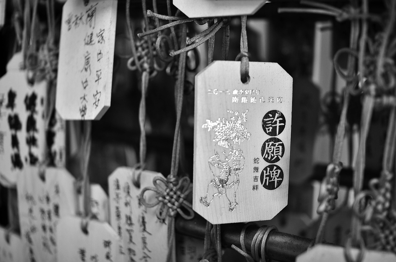 此情惟你獨鐘最新章節速遞
