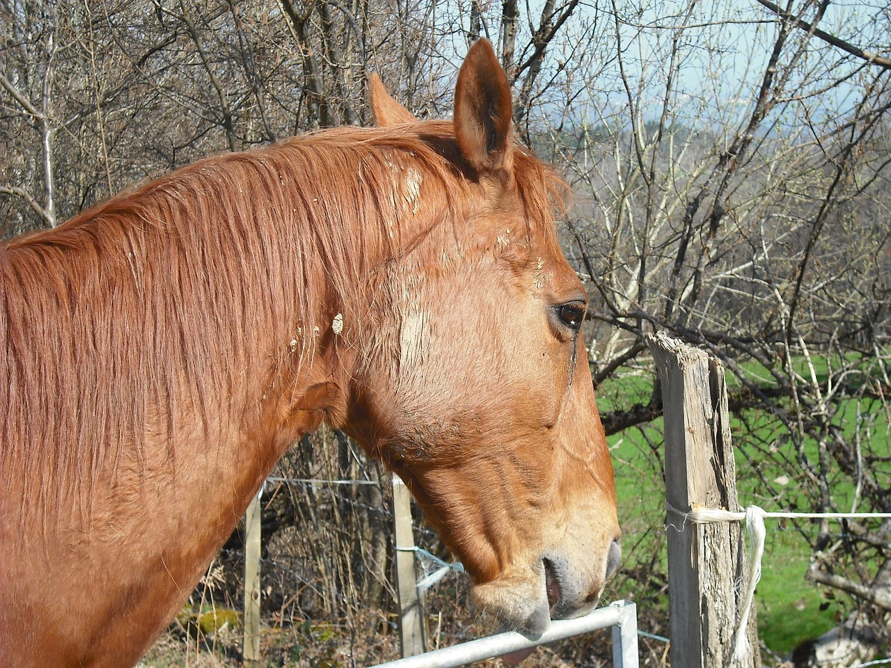 澳門今晚開特馬四不像圖-運動版LZC75.52.80：探索高性能與時尚設計的完美結合